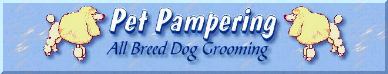 Pet Pampering