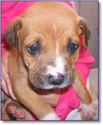 www.ClaiborneAnimalRescue.com